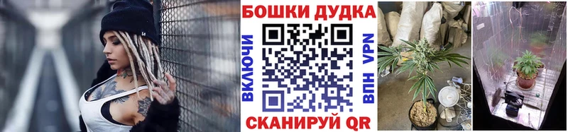 Сколько стоит Павловская А ПВП Меф мяу мяу Гашиш