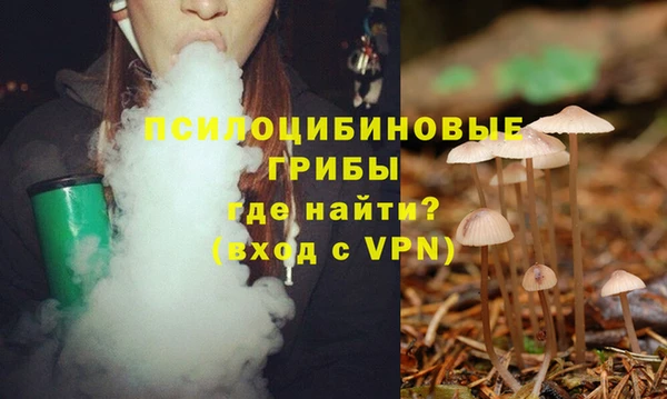 герыч Алексин
